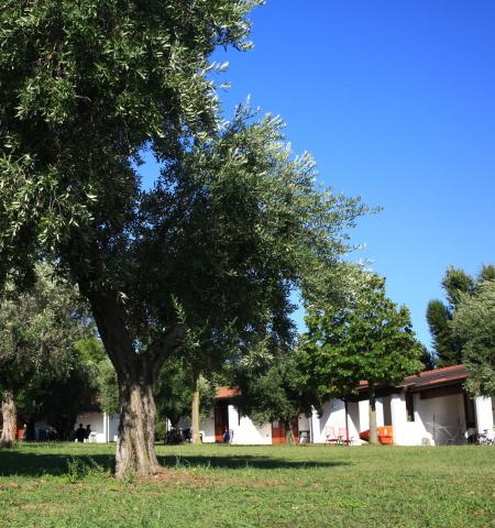 sangiorgiovacanze it bungalow-per-4-persone 067