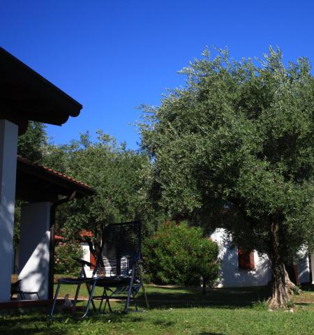 sangiorgiovacanze it bungalow-per-4-persone 068