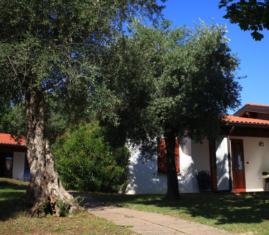 sangiorgiovacanze it bungalow-per-4-persone 033
