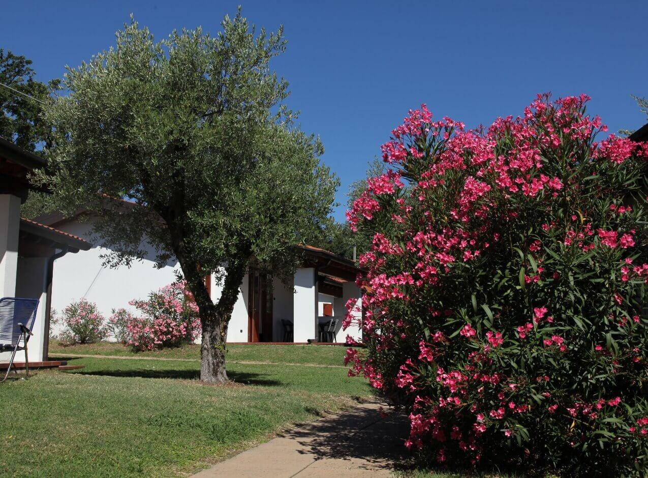 sangiorgiovacanze it villaggio 004