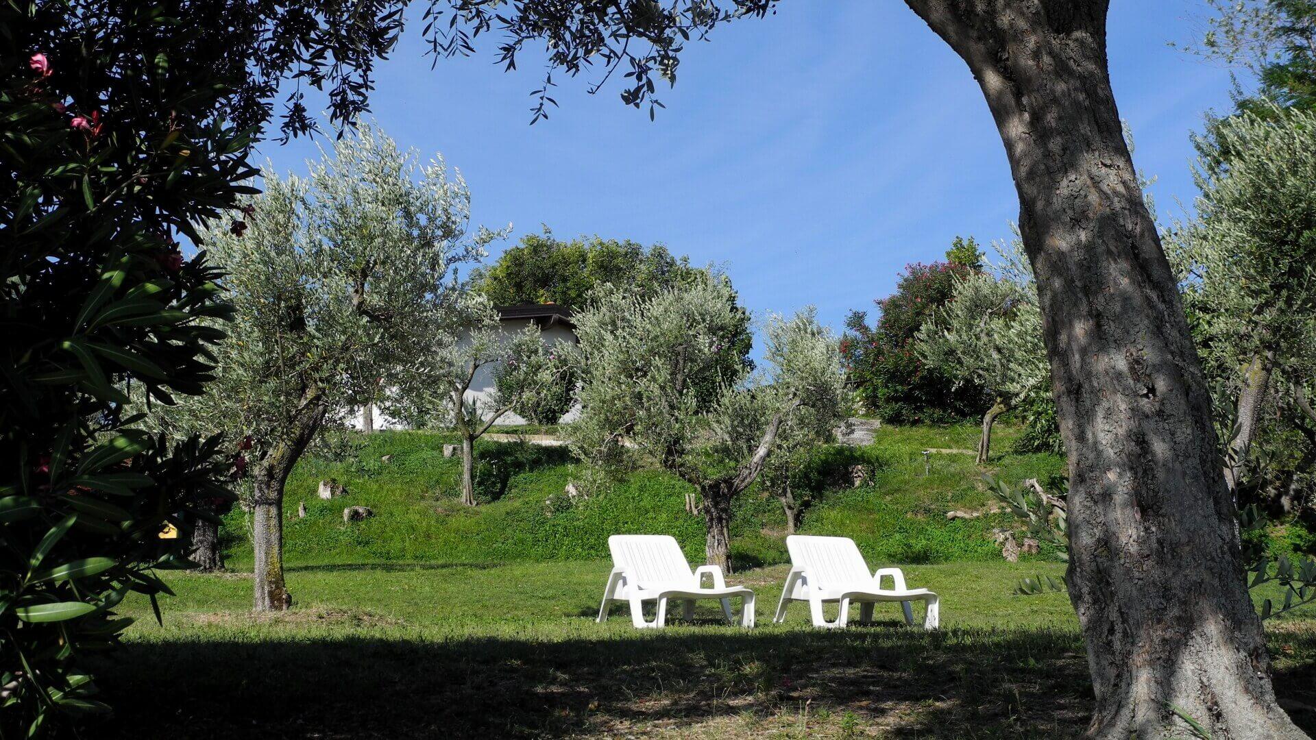 sangiorgiovacanze it offerte-speciali 002